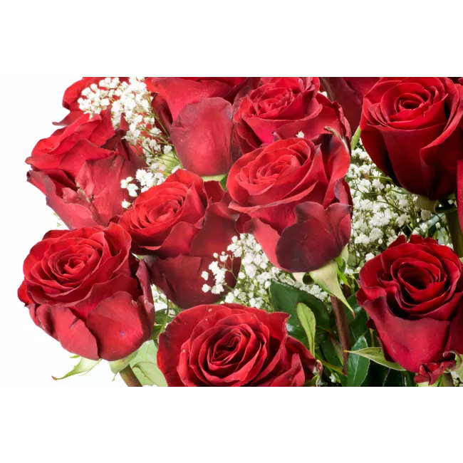 Bouquet of Ecuadorian roses